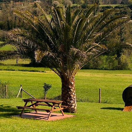 Apartamento Vega Rodiles El Valle ビリャビシオサ エクステリア 写真